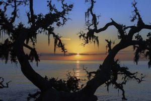 Outer Banks Coastal Seashore - Outer Banks North Carolina